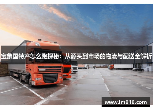 宝象国特产怎么跑探秘：从源头到市场的物流与配送全解析