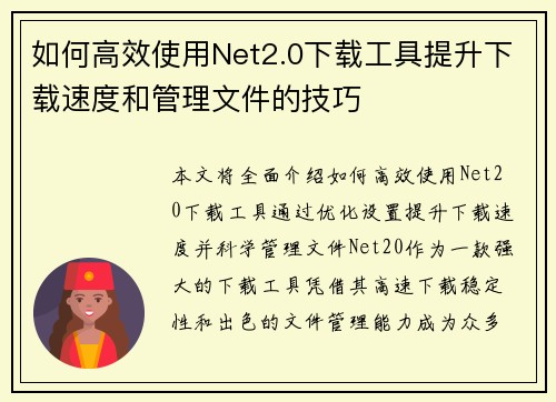 如何高效使用Net2.0下载工具提升下载速度和管理文件的技巧